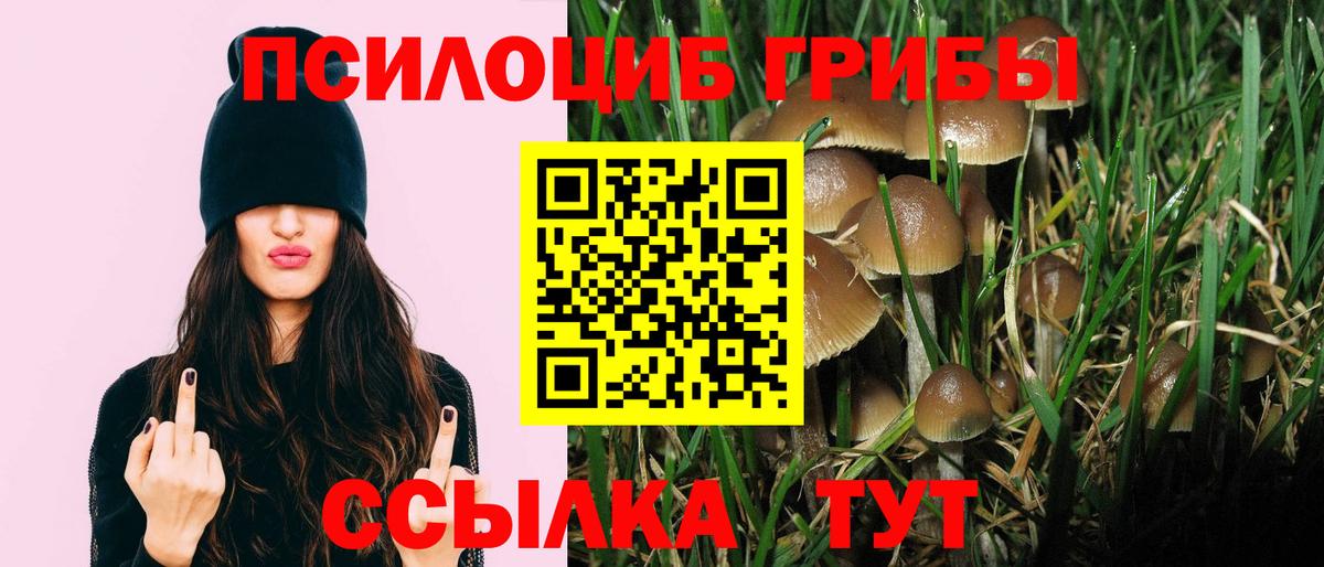 Галлюциногенные грибы Magic Shrooms Сарапул
